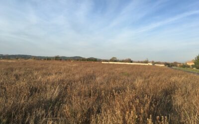 SALLES D’AUDE – Nouveau lotissement de 22 terrains !