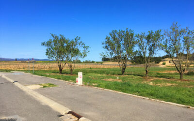 RETOUR A LA VENTE – VILLEGAILHENC