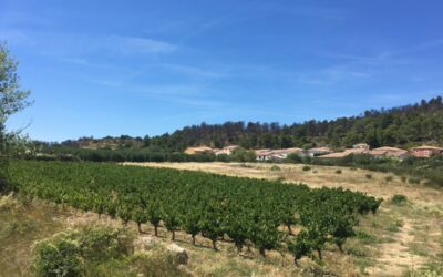 BIZE-MINERVOIS – Nouvelle tranche disponible !!