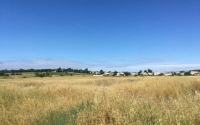 SIGEAN – 6 nouveaux terrains à la vente !