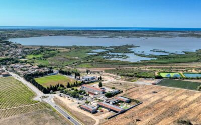 LANCEMENT COMMERCIAL – Les Terrasses de Castelnau ⚠️