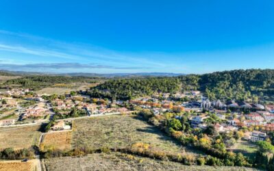 Les jardins de Milà