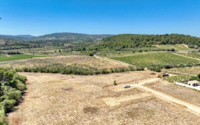 DÉMARRAGE DES TRAVAUX – Les Jardins de Míla 🚧