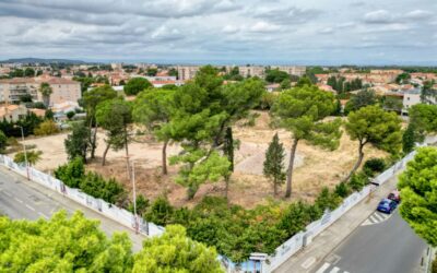 DÉMARRAGE DES TRAVAUX – BELLA MÍLA 🚧